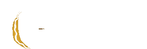 CICAKJITU